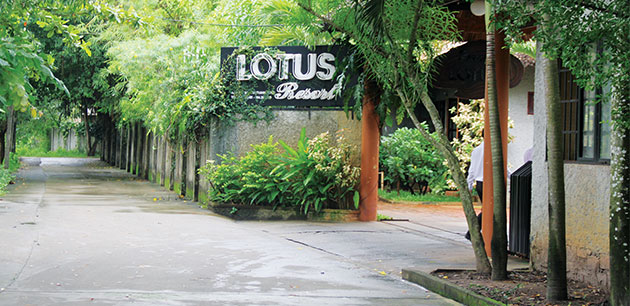 ĐIỂM NHẤN XANH LOTUS RESORT